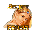 Secret Forest